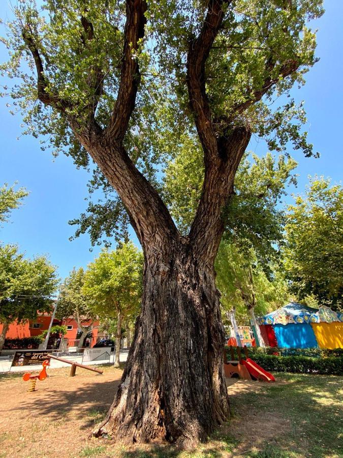 Al Vecchio Pioppo Panzió Praia a Mare Kültér fotó